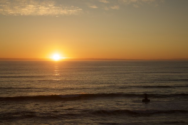 Surfing at Dusk: The Halfmoon Bay Spectacle