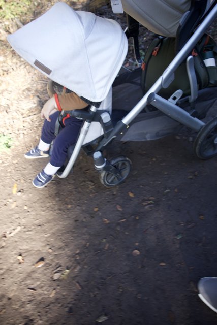 A Stroll Through Thistlewyck