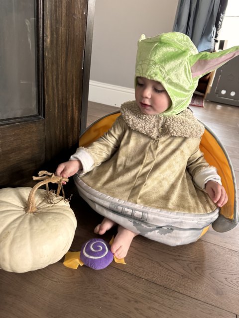Halloween Delight: Baby Yoda's Pumpkin Adventure