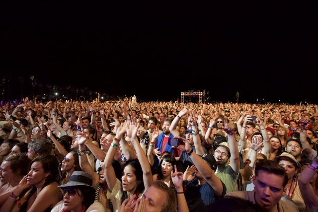 Coachella Crowd Reaching for the Stars