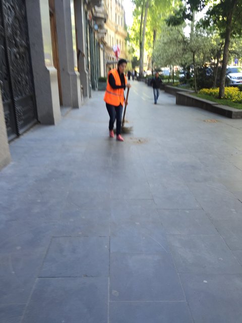 Sweeping the Path in Tbilisi