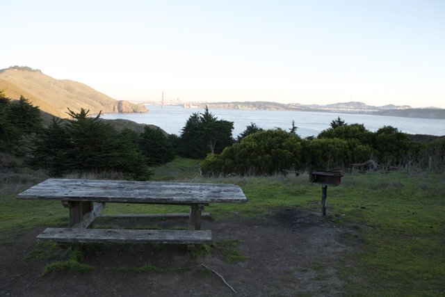 Serene Picnic Spot Overlooking the Bay
