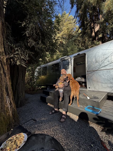 Morning Bliss in the Redwoods