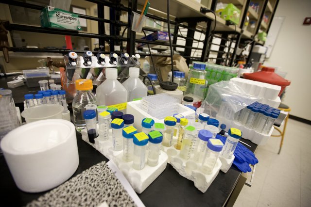 Variety of Liquids and Containers in UCLA Biotech Lab