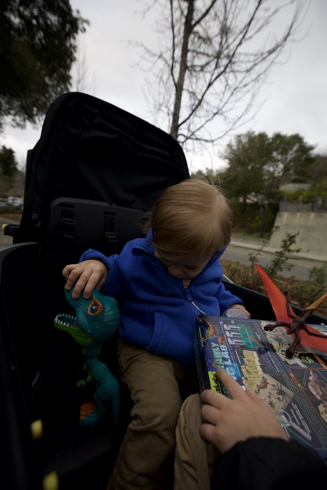 Young Child Reading Dinosaur Book in Stroller Outdoors
