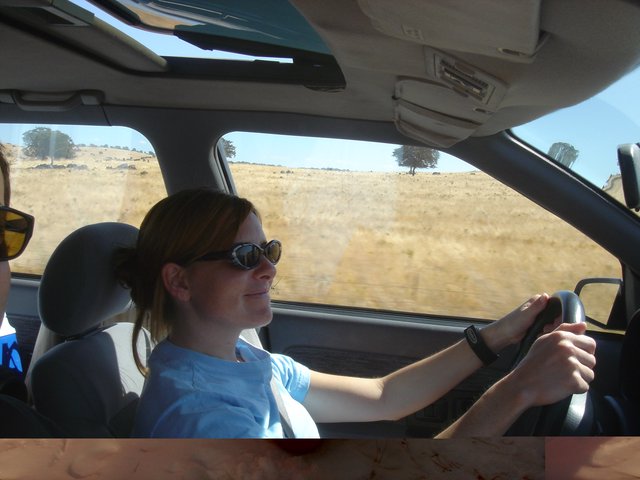 Woman Driving Through Sun-Drenched California Countryside