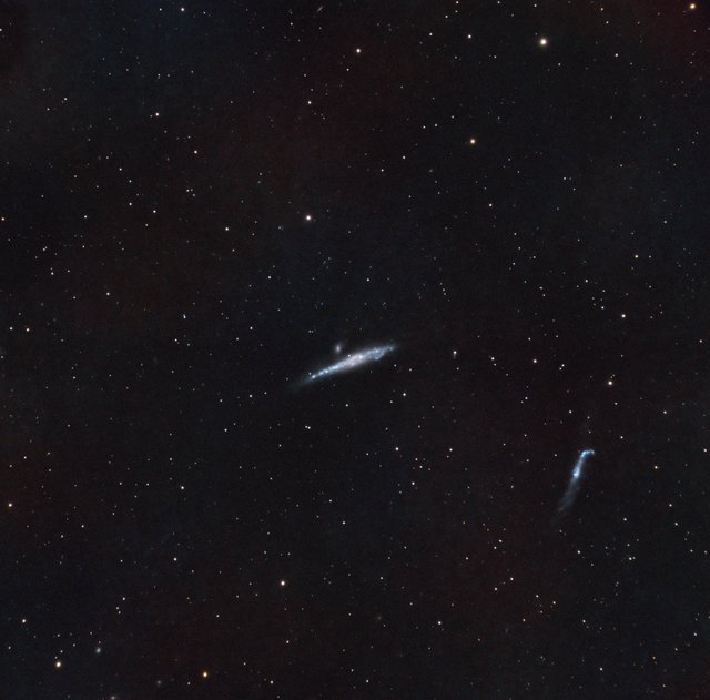 NGC 4631 - The Whale Galaxy in SHO Narrowband