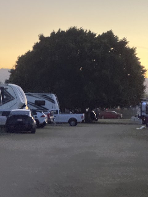 Sunset Parking Symphony