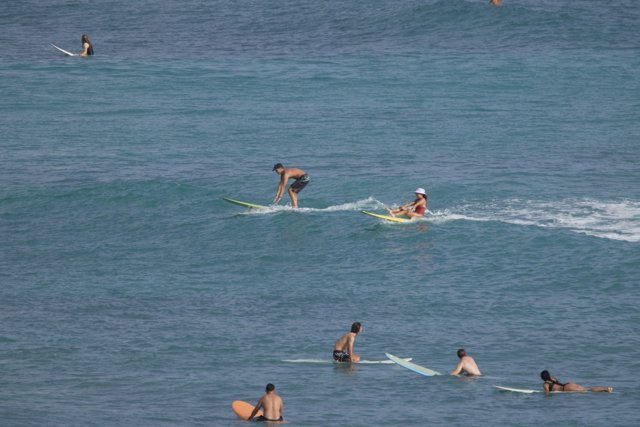 Wave Riders: A Surfing Day in Hawaii 2024