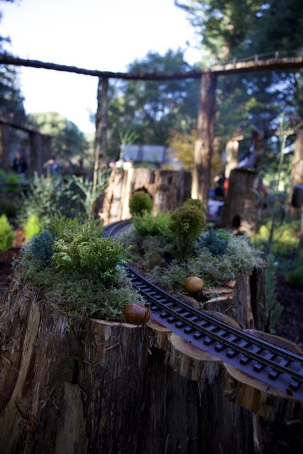 Whimsical Woodland Railway