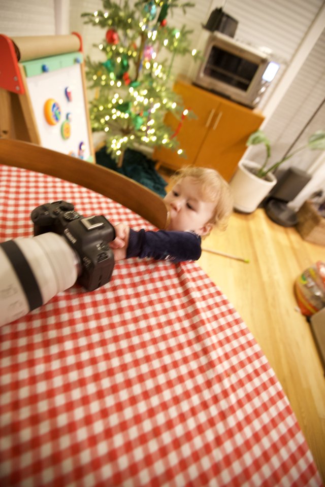 Young Child Reaching for Camera at Christmas Table