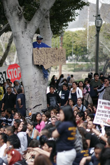 School Walkout Protesters Gather Around Tree