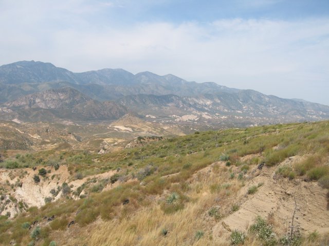 Mountain and Desert View from a Hilltop
