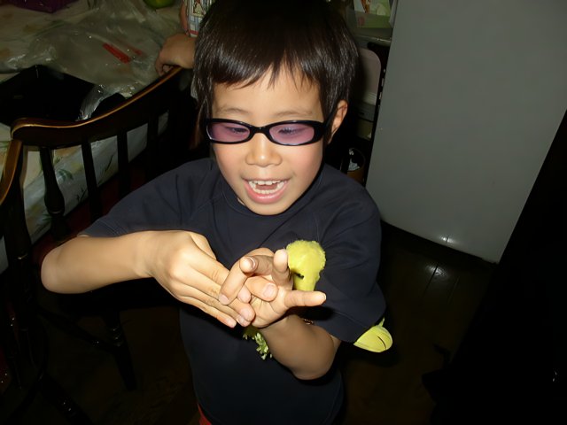 Young Boy in Spectacles
