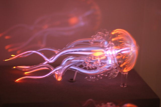 Neon-Lit Jellyfish at Sea