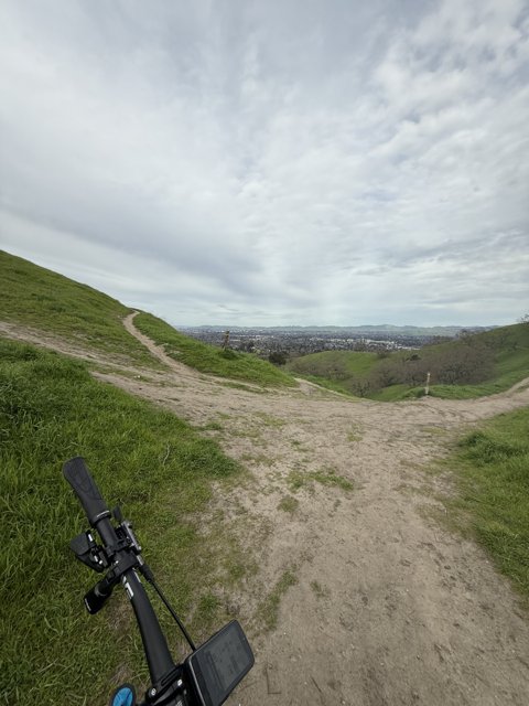 Wandering Trails of Walnut Creek