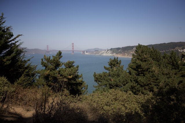 Overlooking the Golden Gate Bridge