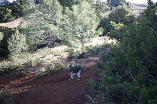 Toddler Explores Red Dirt Trail on Mount Diablo