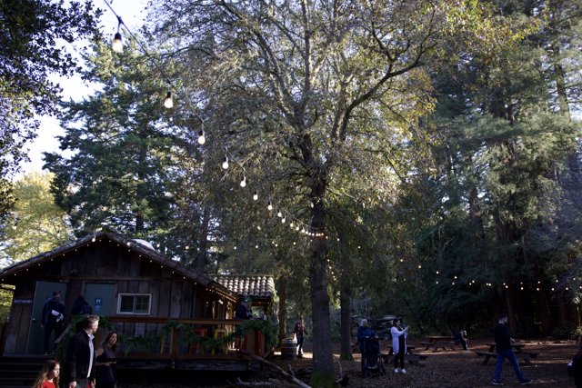 Autumn Gathering at Thistlewyck