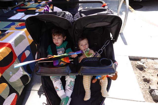 Stroller Adventures
