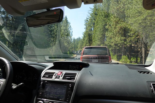 Forest Highway Drive Through Evergreen Mountains