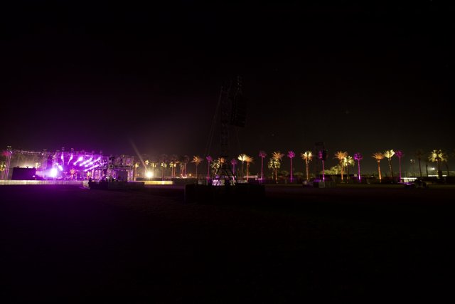 Metropolis Stage Lights up the Night with Palm Trees and Purple Hues