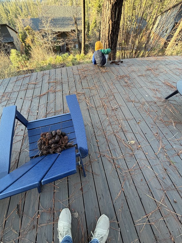 Toddler Explores Pine Tree on Rustic Mountain Deck