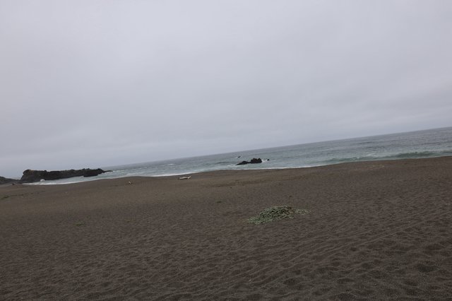 Overcast Coastal Beach with Rocky Shoreline