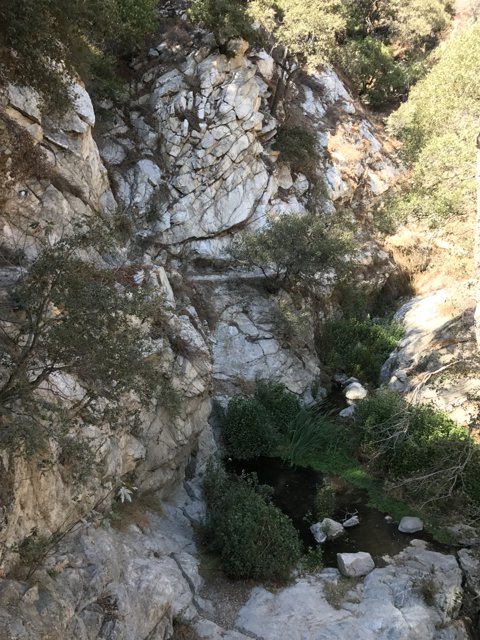 Cascading Waters in the Angeles National Forest