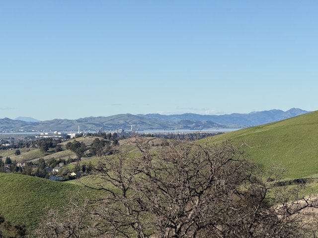 Serene Slopes of Lime Ridge