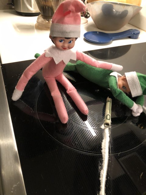 Two Elf Dolls Cooking Up a Storm