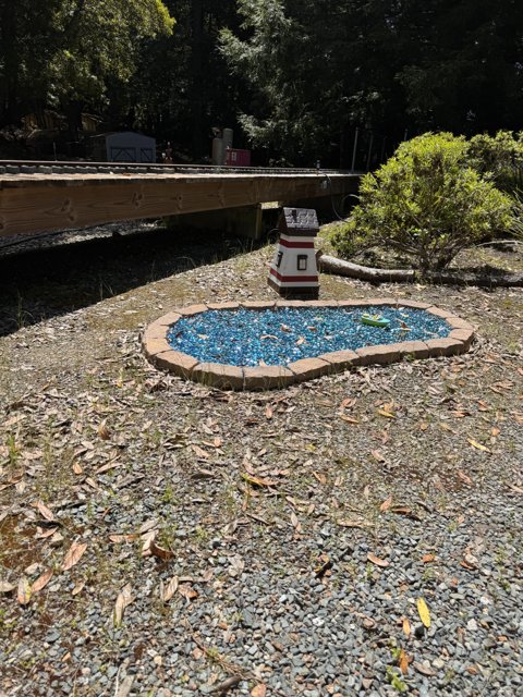 Miniature Oasis in Tilden