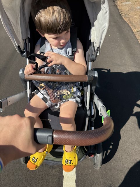 Stroll Through Walnut Creek