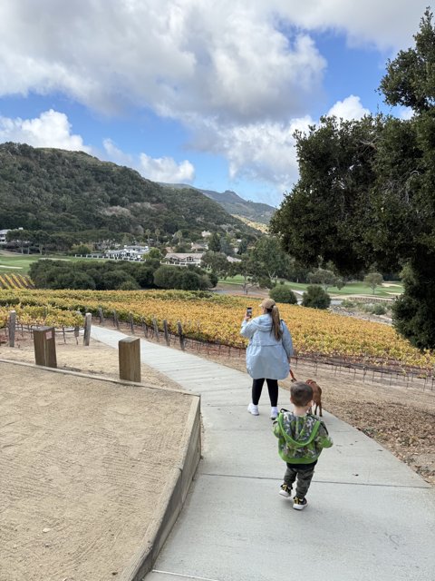 Autumn Stroll in Carmel