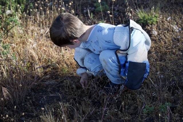 Young Explorer Discovers Nature at Mount Diablo