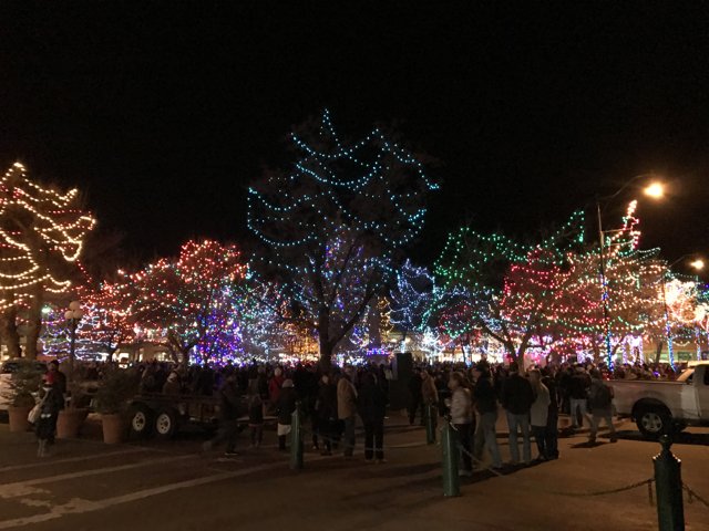 Glowing Christmas Tree Draws Crowds in Santa Fe