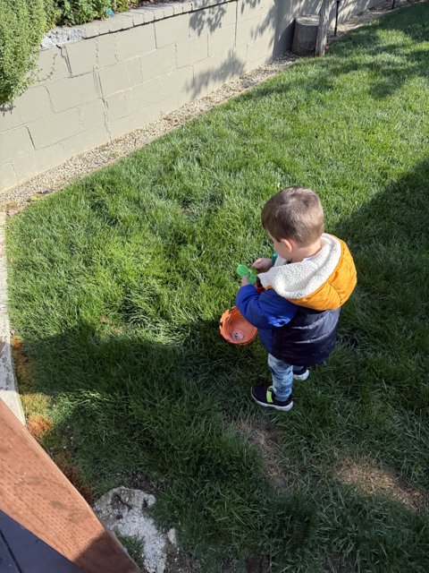 Springtime Curiosity