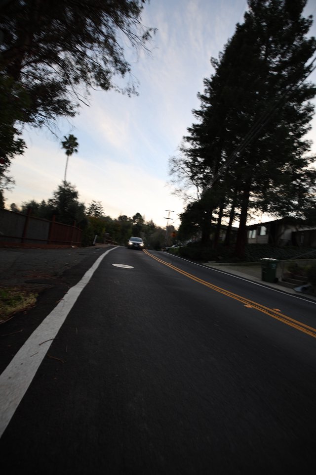 Evening Residential Street with Curved Road and Trees