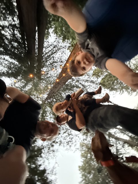 Gathered Amidst the Trees