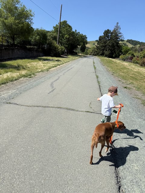Strolling Under the Californian Sun