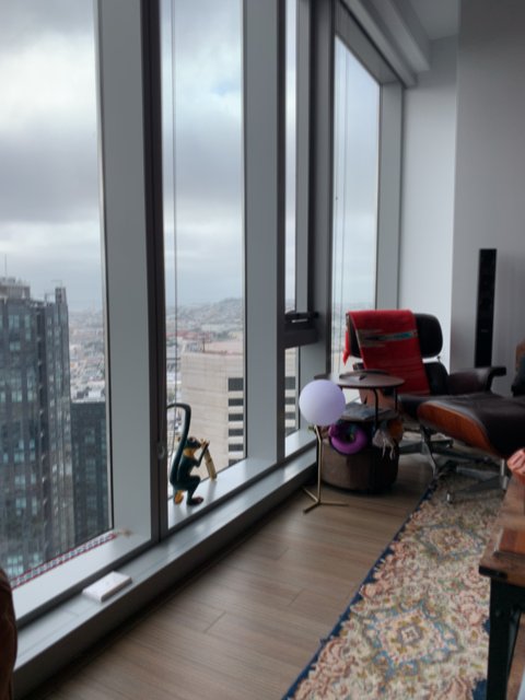 Man in a Penthouse with a View of San Francisco
