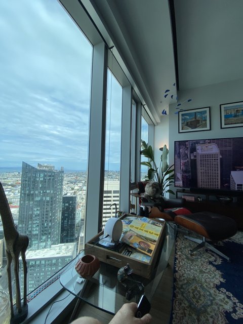 City View Living Room