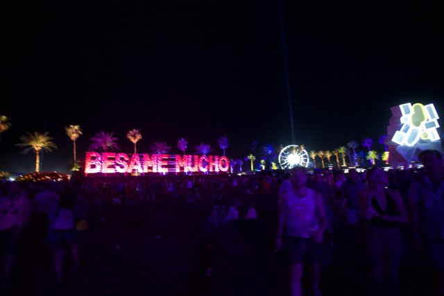 Night Crowd at Coachella