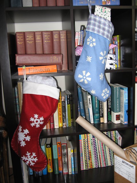 Holiday Stockings on the Bookshelf