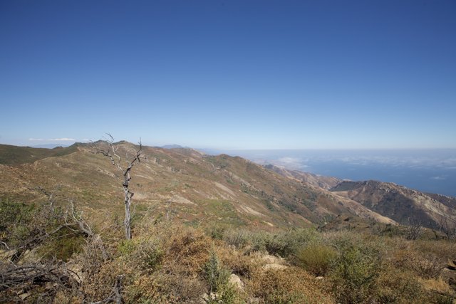 Majestic View of Wilderness from Gaviota Peak