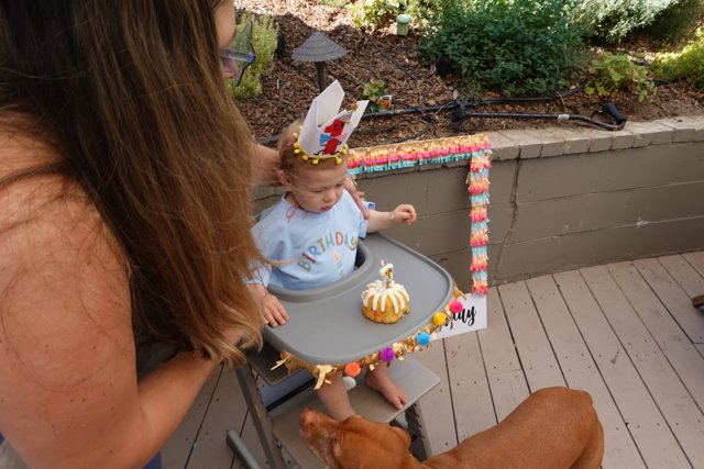 First Birthday Bliss