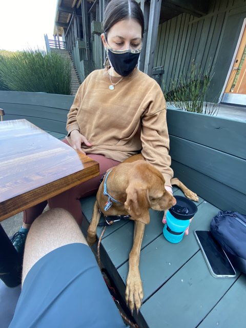 Masked Woman and Her Canine Companion