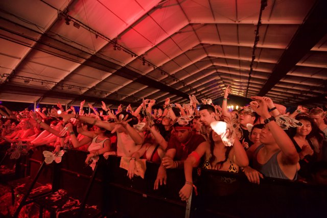 Partygoers Rocking Out at Coachella Concert