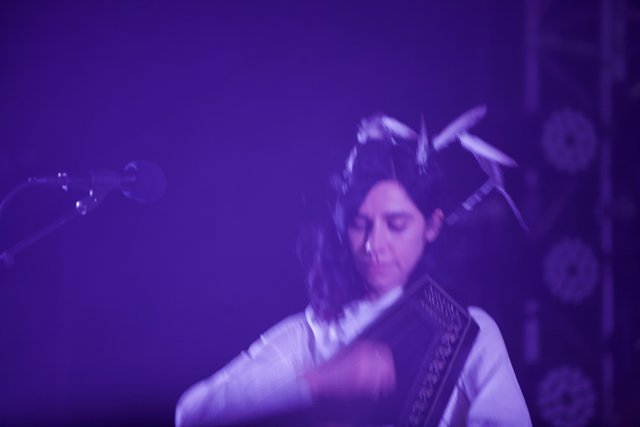 PJ Harvey's Solo Performance