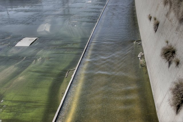 Algae-Infested Waterway